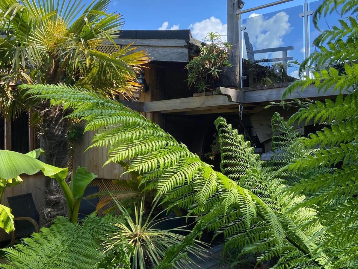 Jungle Cabin Martin Mill Luaran gambar