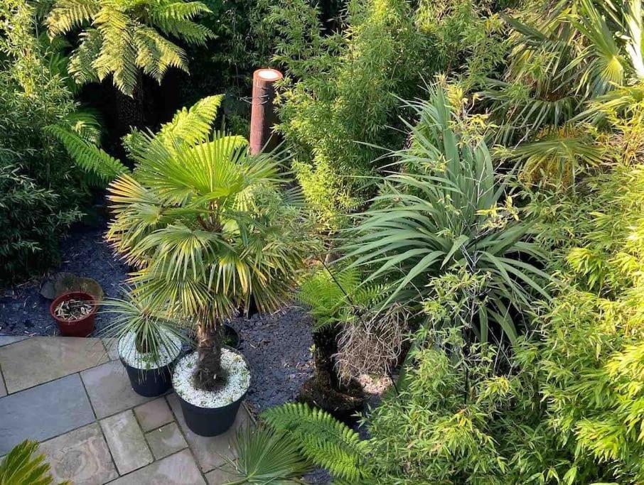 Jungle Cabin Martin Mill Luaran gambar