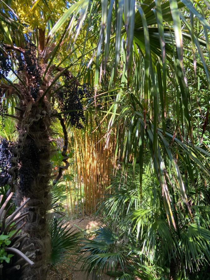 Jungle Cabin Martin Mill Luaran gambar