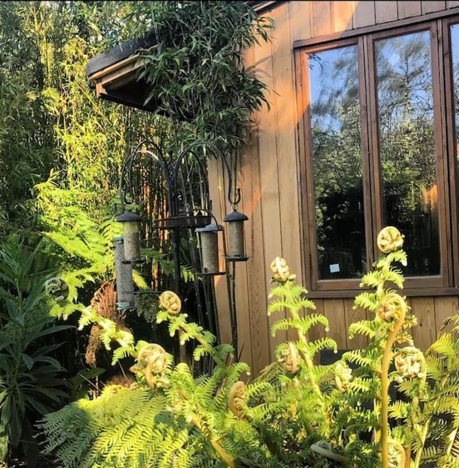 Jungle Cabin Martin Mill Luaran gambar