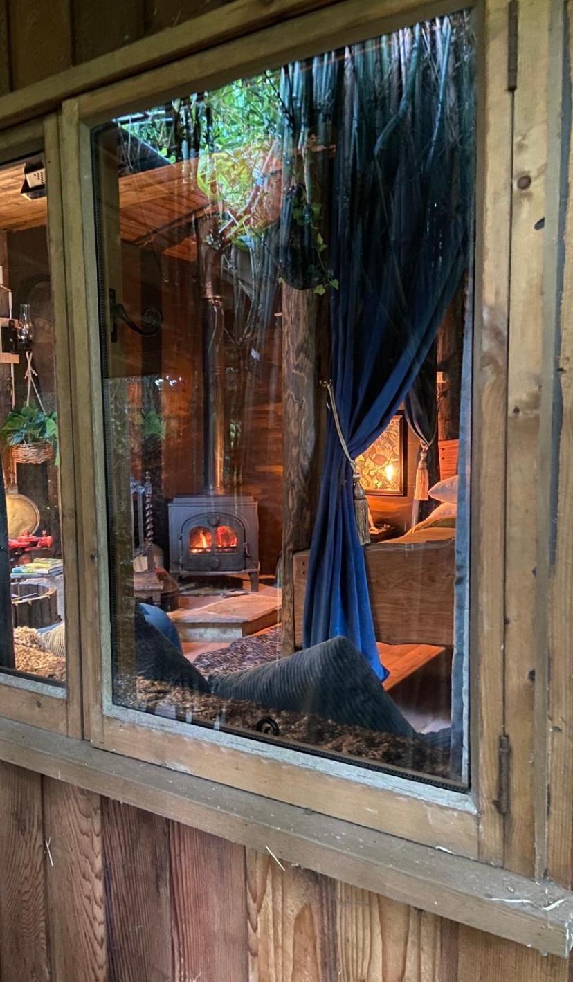 Jungle Cabin Martin Mill Luaran gambar