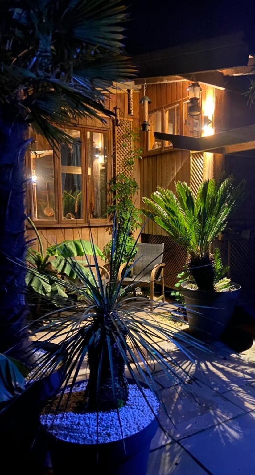 Jungle Cabin Martin Mill Luaran gambar