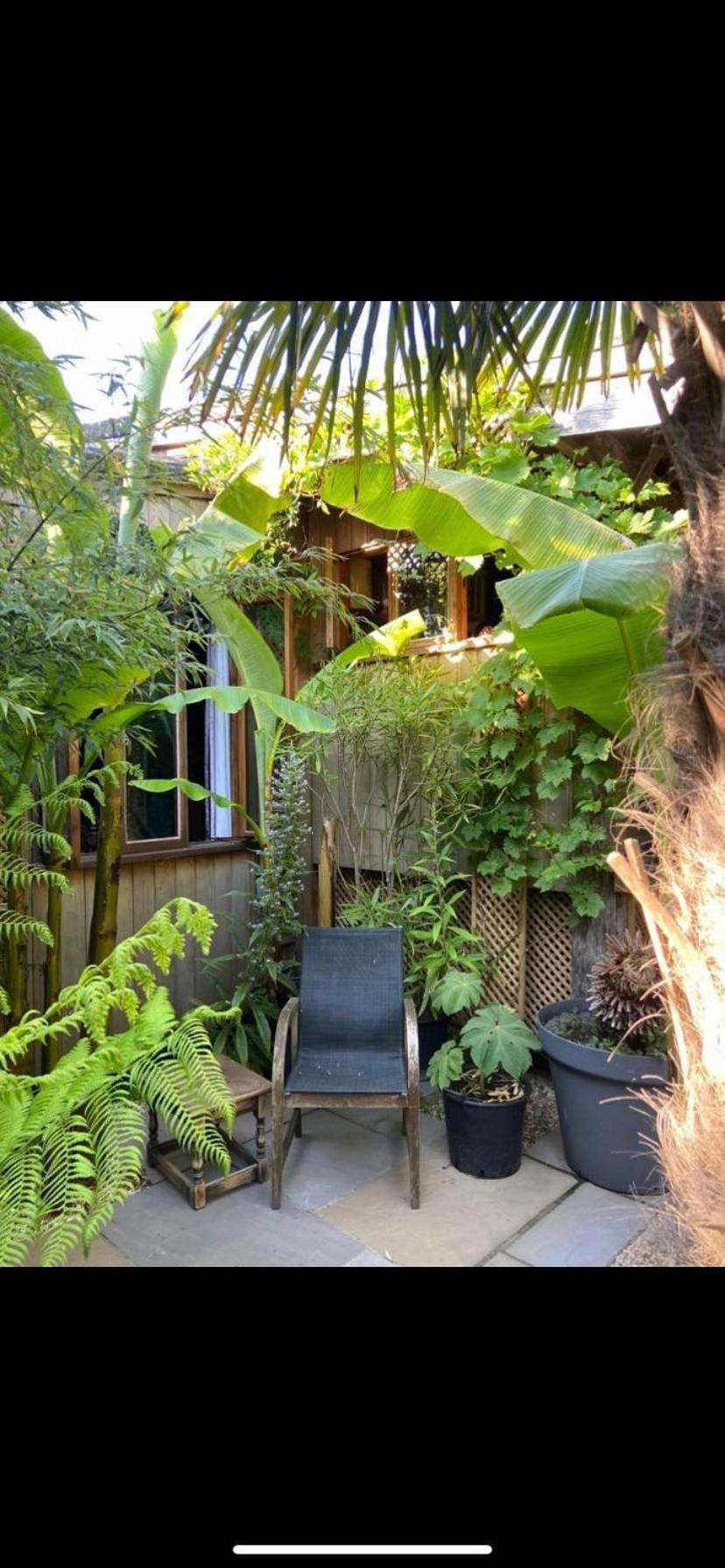 Jungle Cabin Martin Mill Luaran gambar